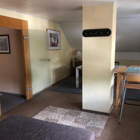 Ironico Homestay 4 Schlafzimmer Ferienwohnung 100 M2 Nahe Bostalsee Eisen  Eksteriør bilde