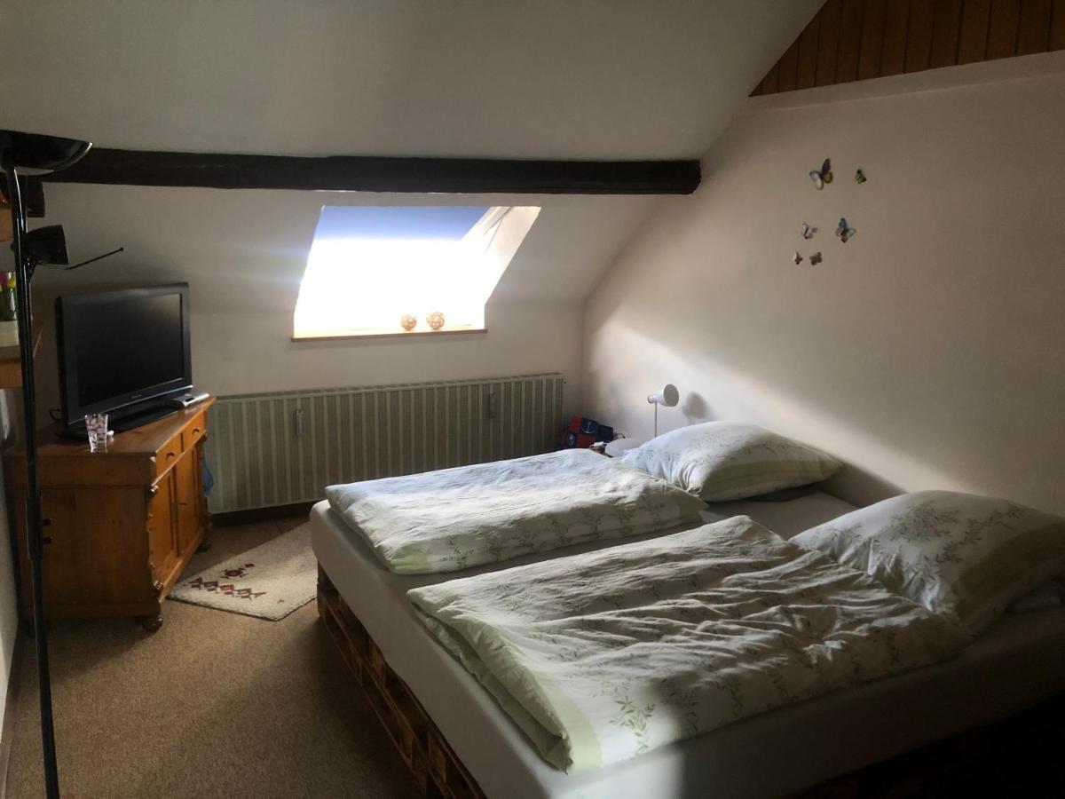 Ironico Homestay 4 Schlafzimmer Ferienwohnung 100 M2 Nahe Bostalsee Eisen  Eksteriør bilde