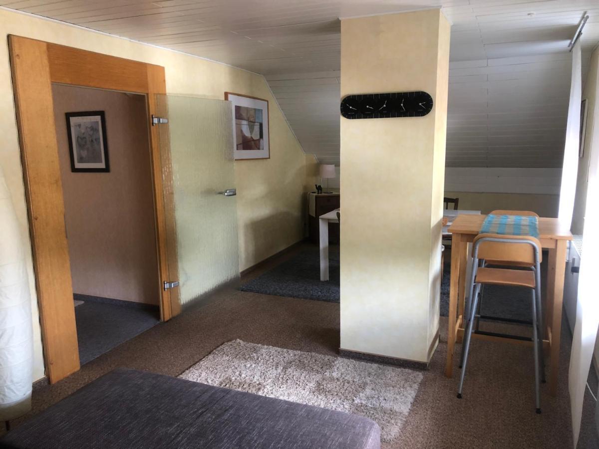 Ironico Homestay 4 Schlafzimmer Ferienwohnung 100 M2 Nahe Bostalsee Eisen  Eksteriør bilde